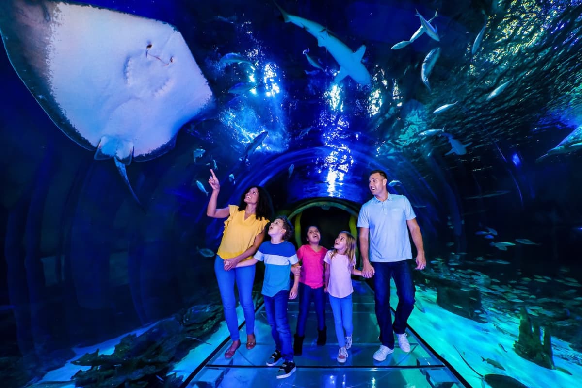 SEA LIFE Orlando Aquarium Ticket