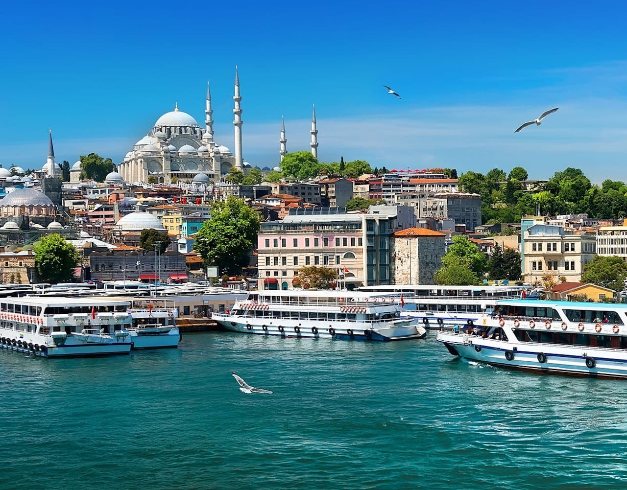 Bosphorus Sightseeing Cruise on a Luxury Yacht