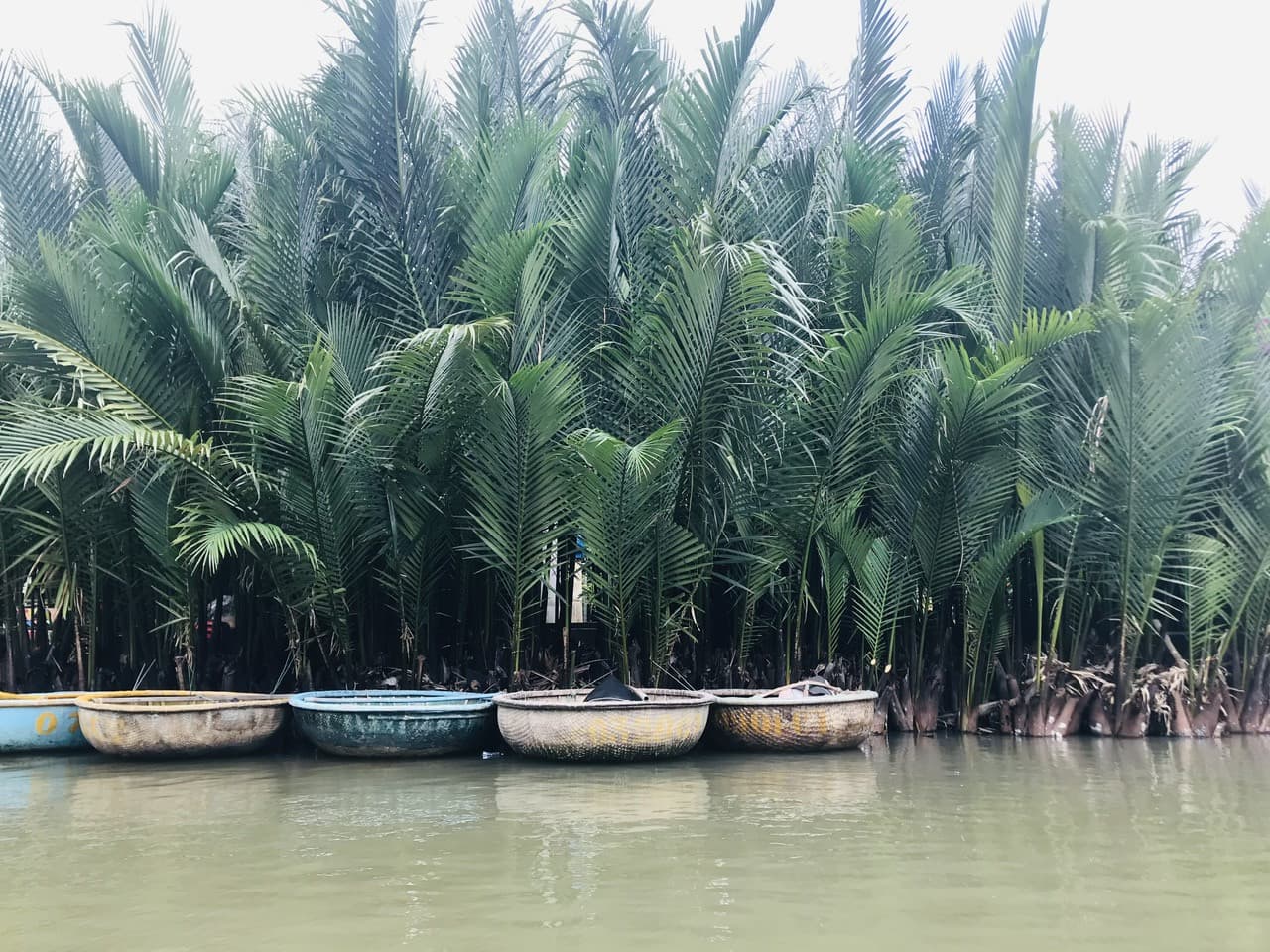 Hoi An Coconut Forest Basket Boat Ride