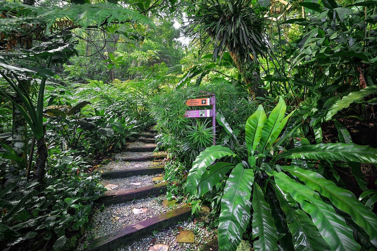 Tropical Spice Garden Penang