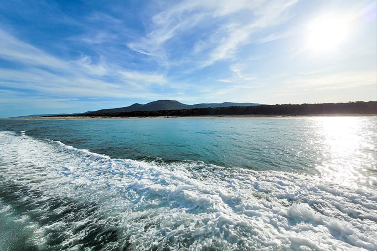 Wilsons Promontory Whale Watching Sightseeing Cruise