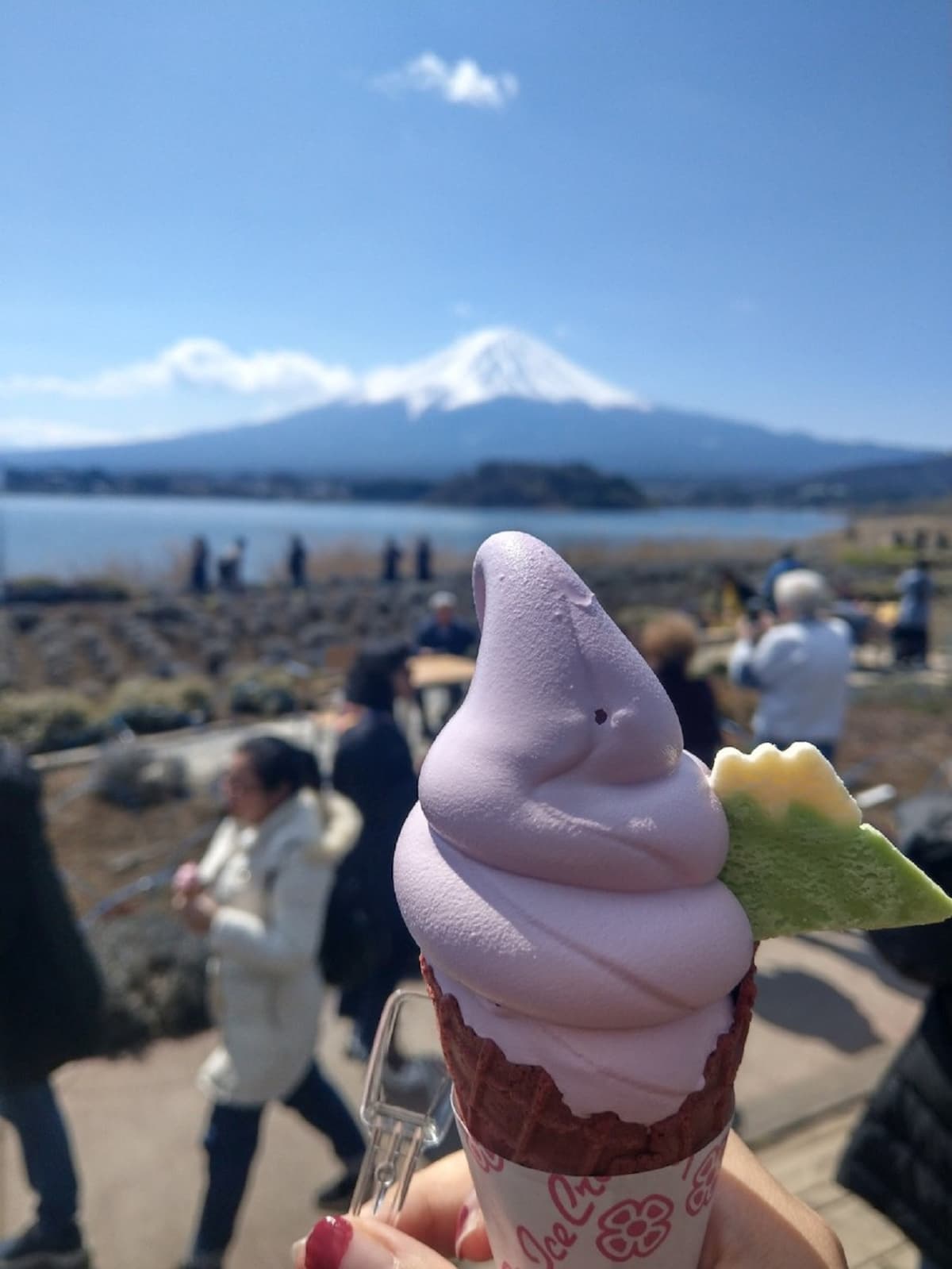 Mount Fuji Day Tour with Kawaguchiko Lake