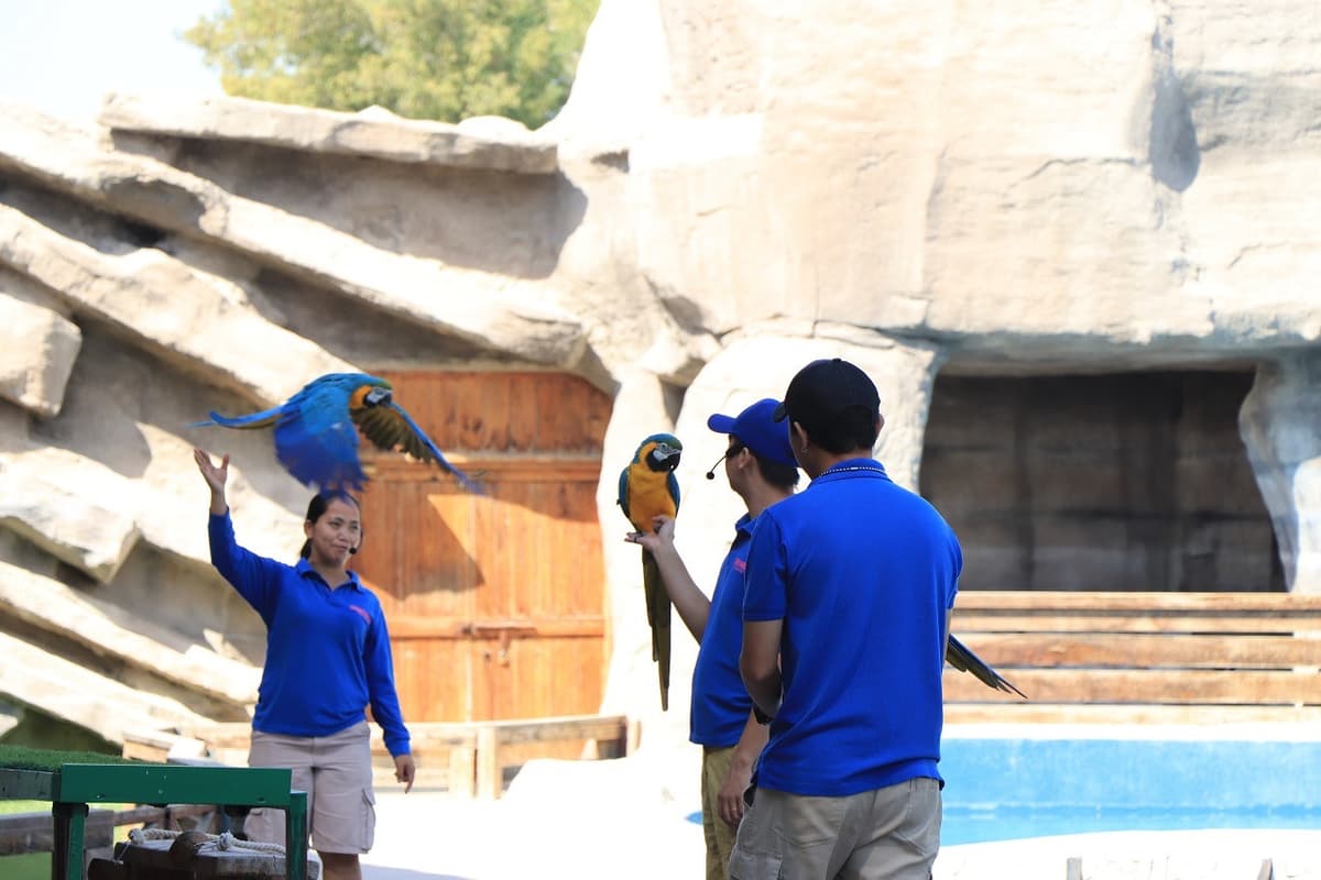 Emirates Park Zoo Ticket