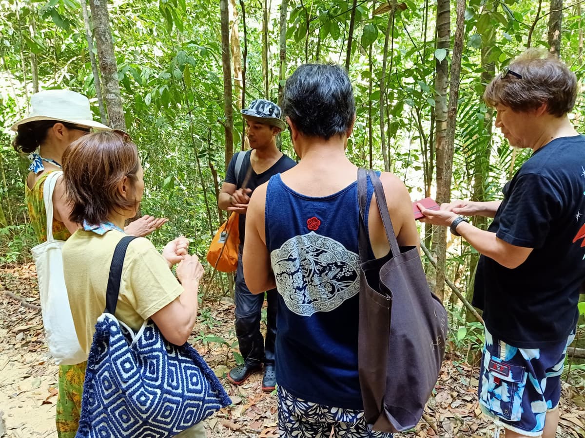 Langkawi Rainforest Trekking