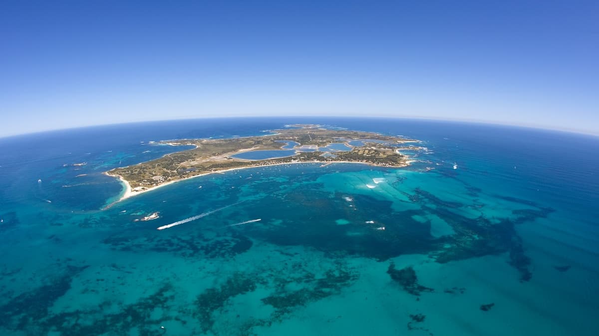 Round Trip SeaLink Ferry to Rottnest Island