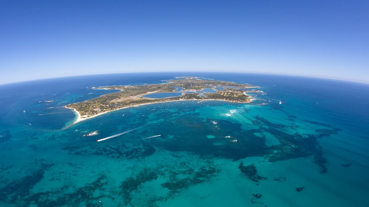 Round Trip SeaLink Ferry to Rottnest Island