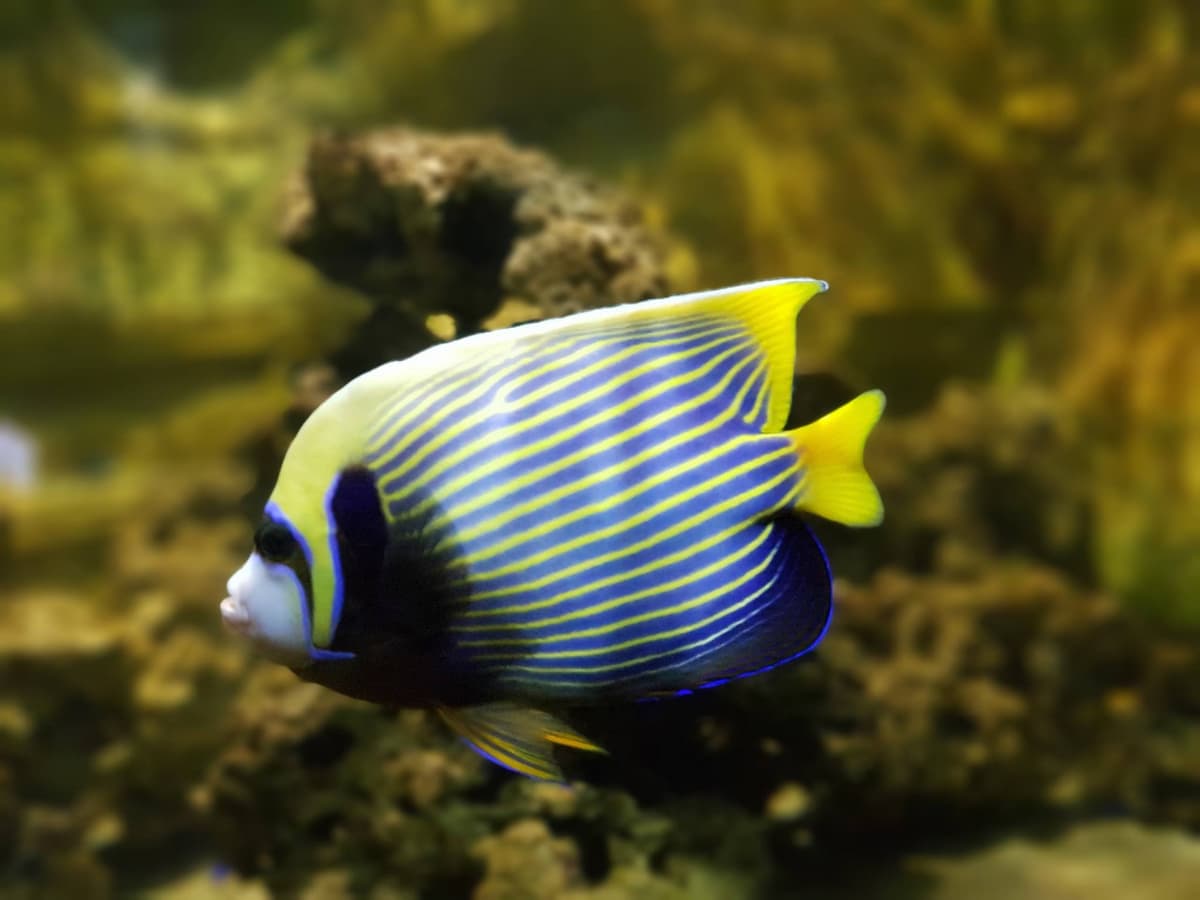Yehliu Ocean World