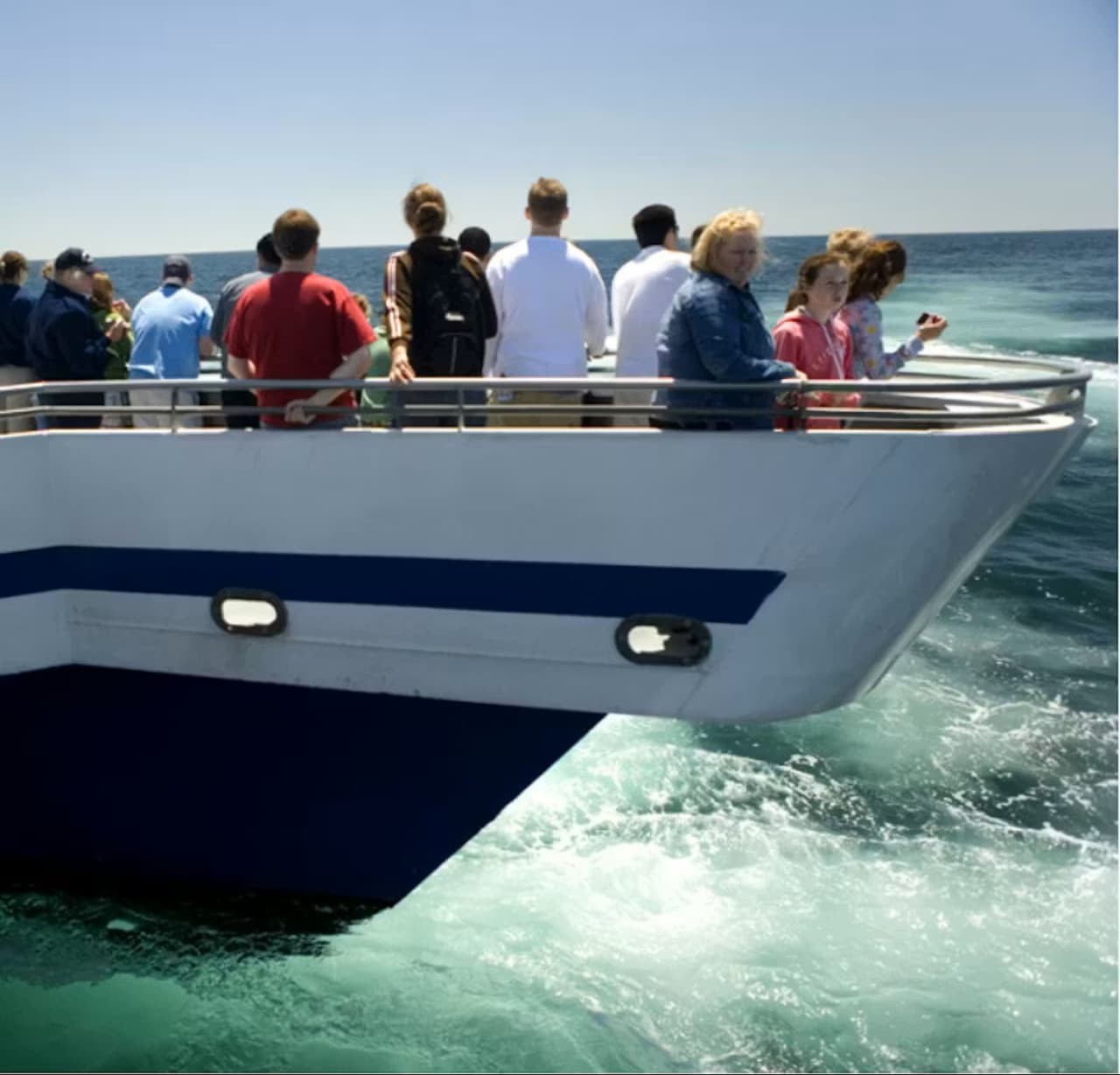 Boston Harbor Whale Watch Cruise