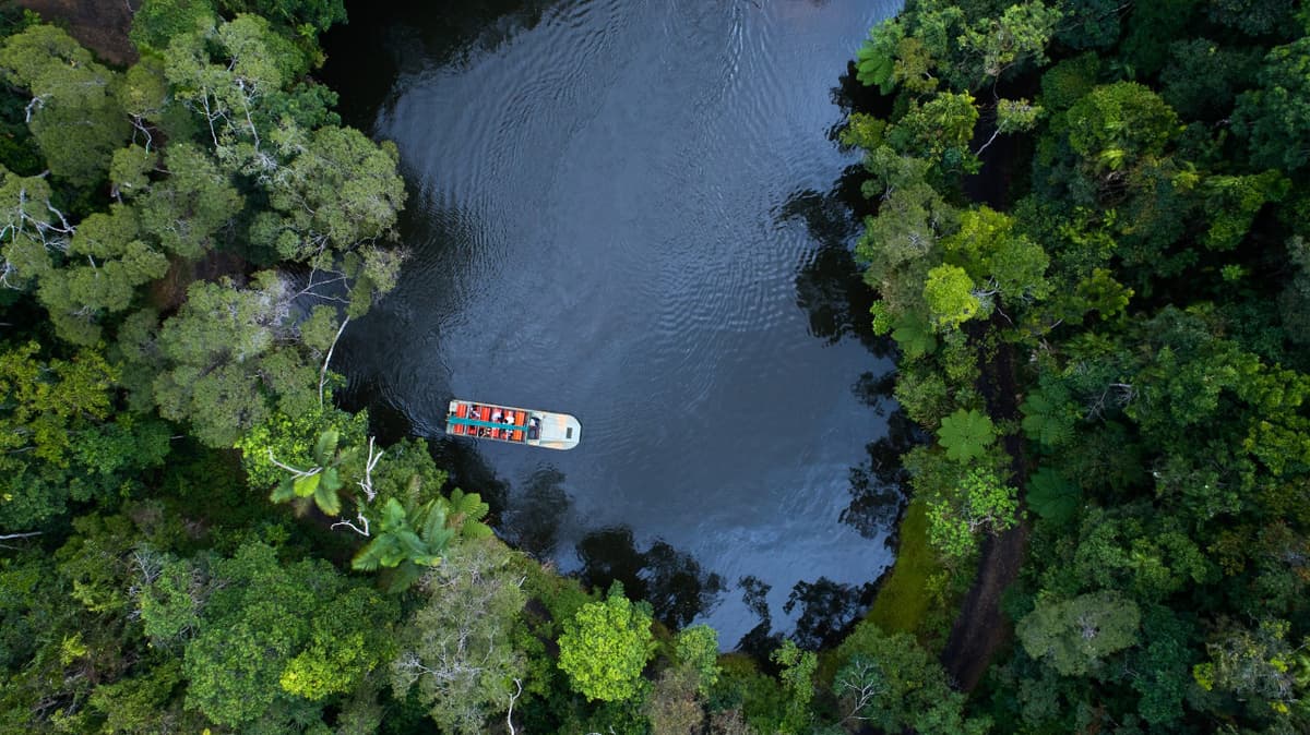 Full-Day Kuranda Tour with Skyrail Cableway, Scenic Railway and Rainforestation