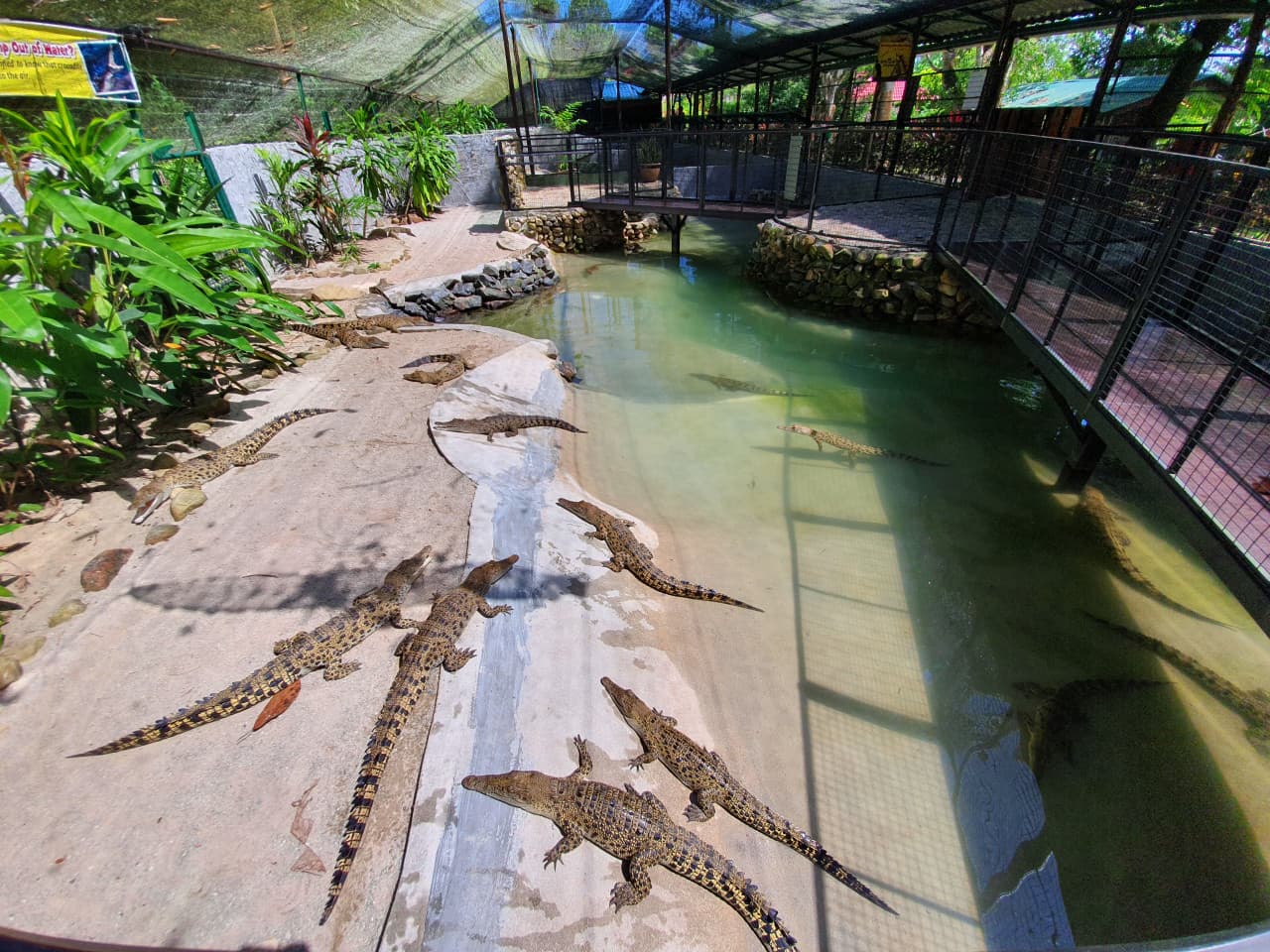 Crocodile Adventureland Langkawi