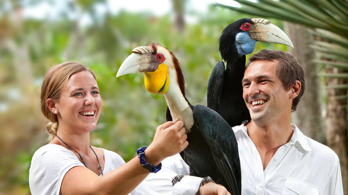 Bali Bird Park Ticket