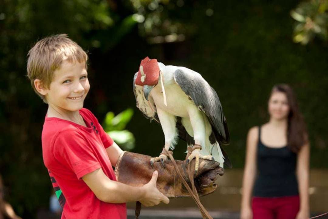 Bali Bird Park Ticket