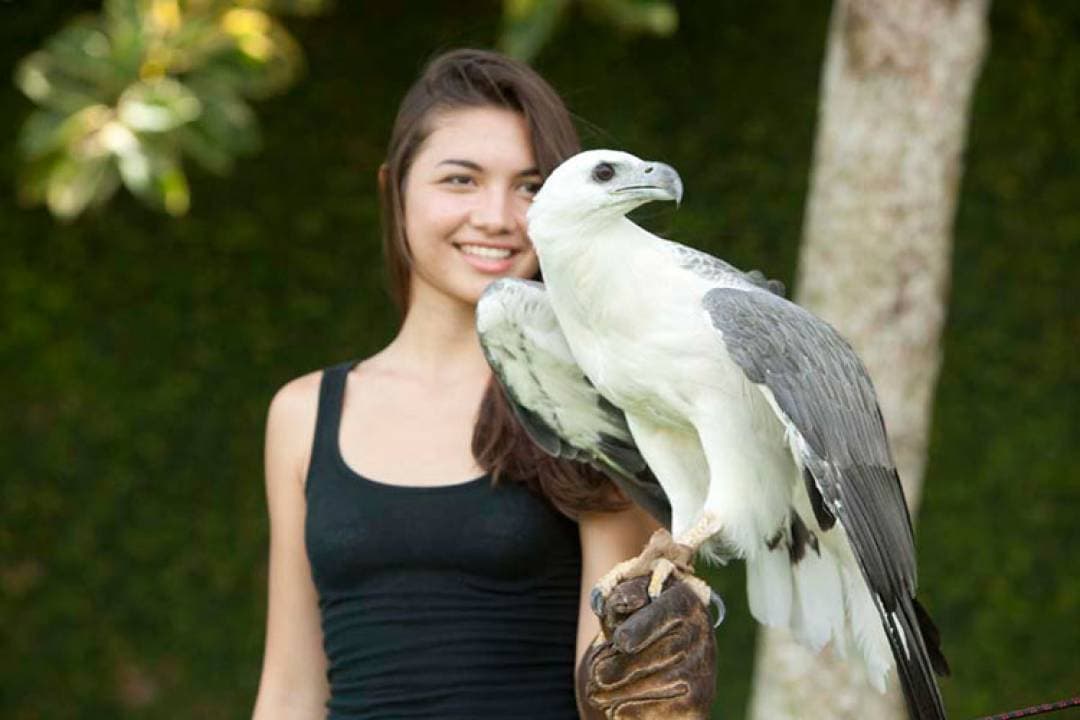 Bali Bird Park Ticket