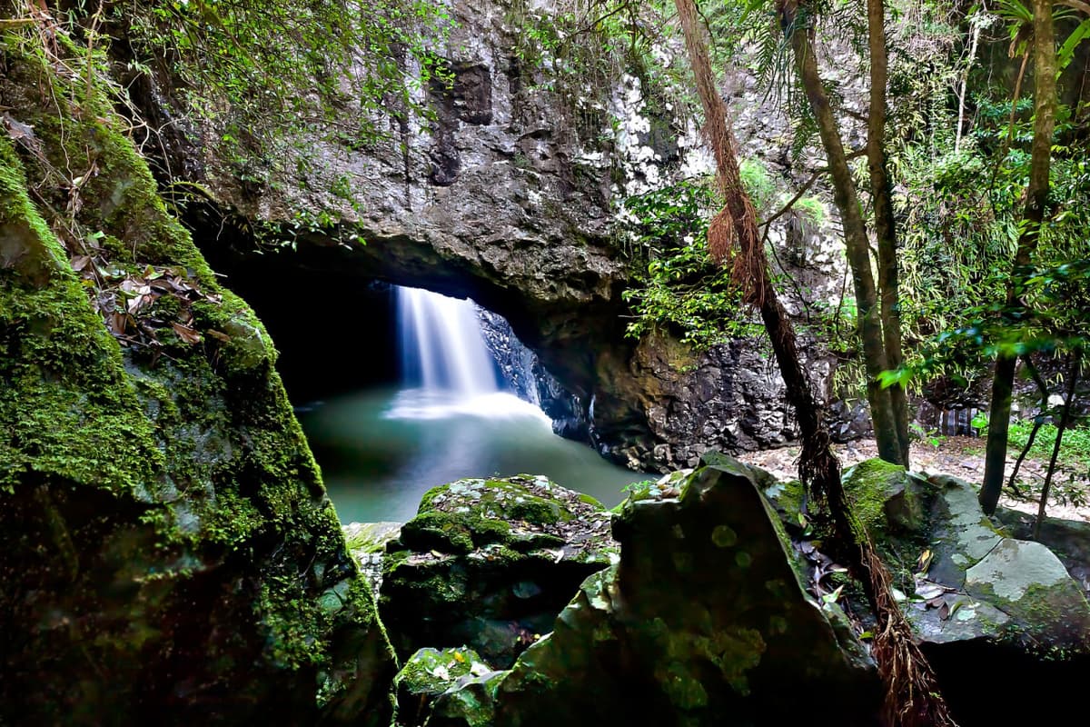 Springbrook National Park Tour: Natural Bridge and Waterfalls