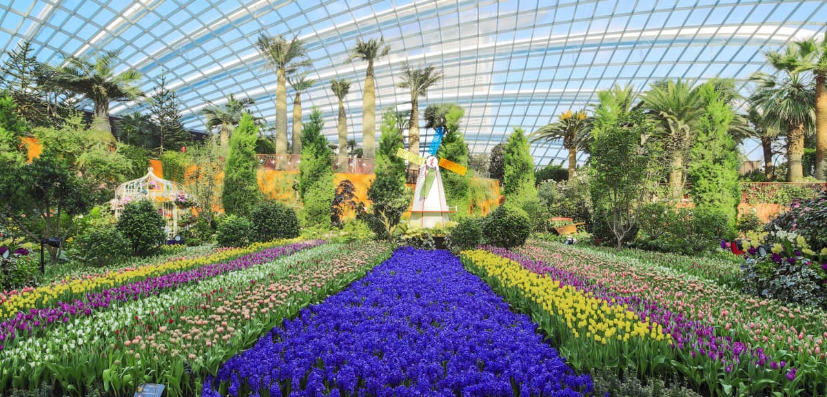 COMBO: Singapore Cable Car + Gardens by the Bay Ticket
