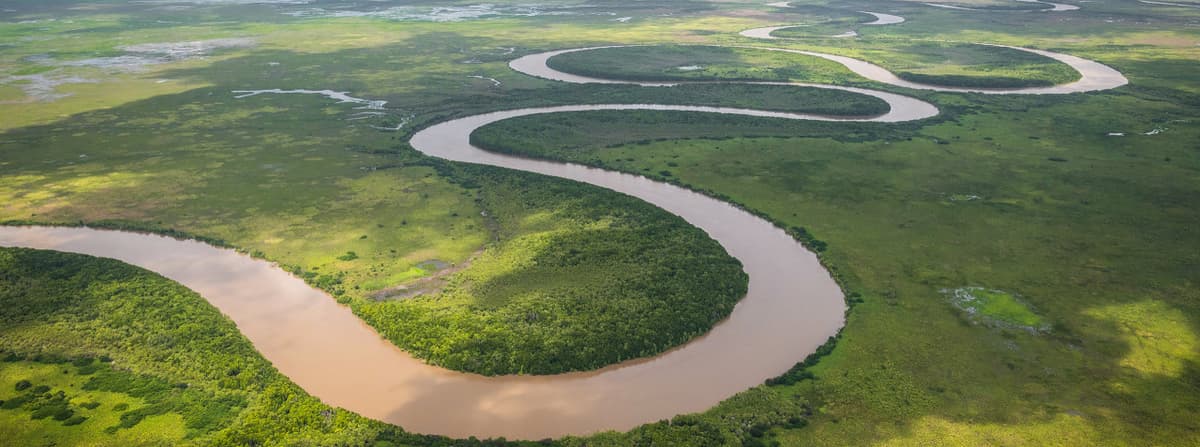 Adelaide River Jumping Crocs Cruise and Wetlands Tour from Darwin
