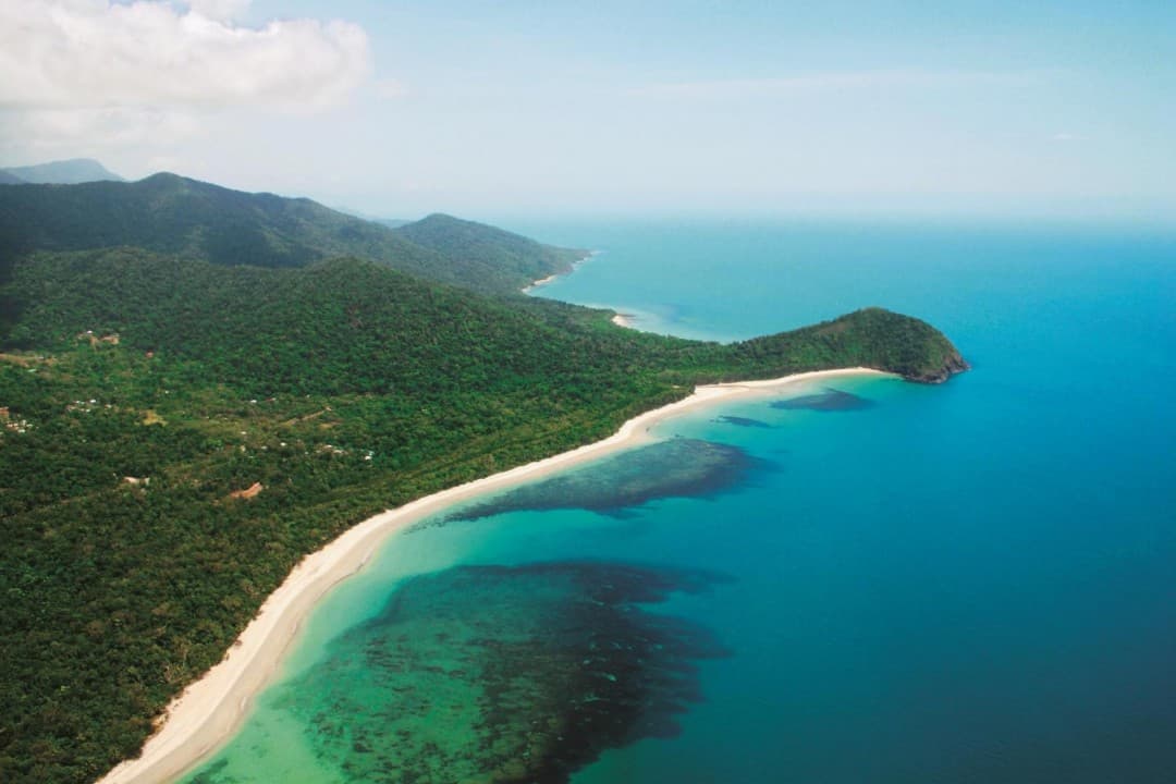 Cape Tribulation and Daintree Wilderness Full-Day Tour