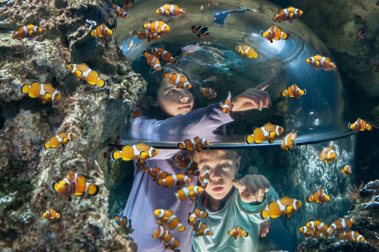 Gardaland SEA LIFE Aquarium Ticket