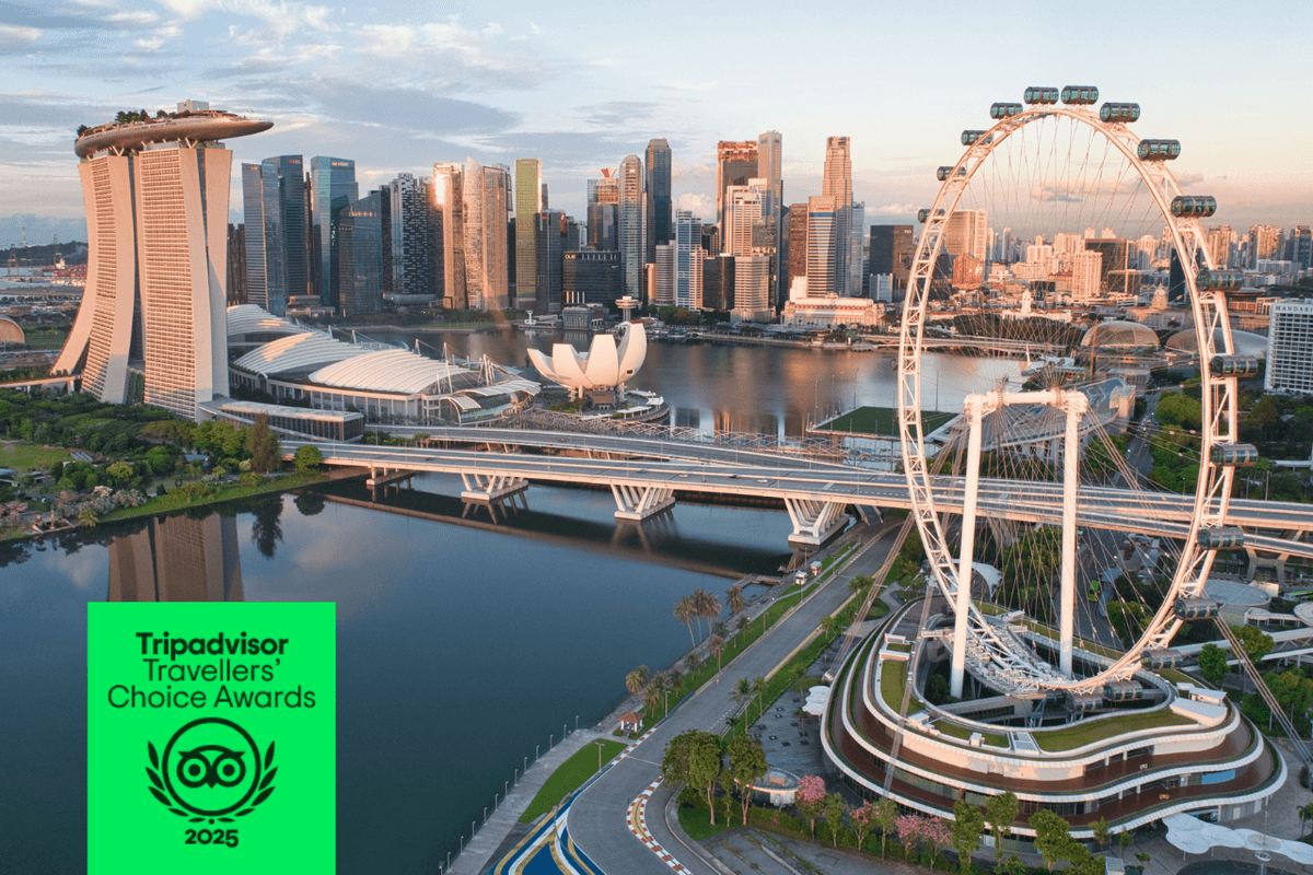 COMBO: Singapore Flyer + Gardens by the Bay Ticket