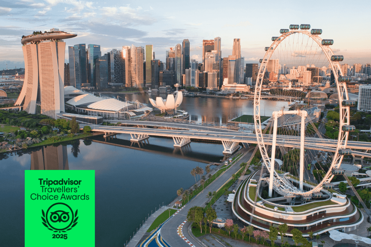 COMBO: Singapore Flyer + Gardens by the Bay Ticket