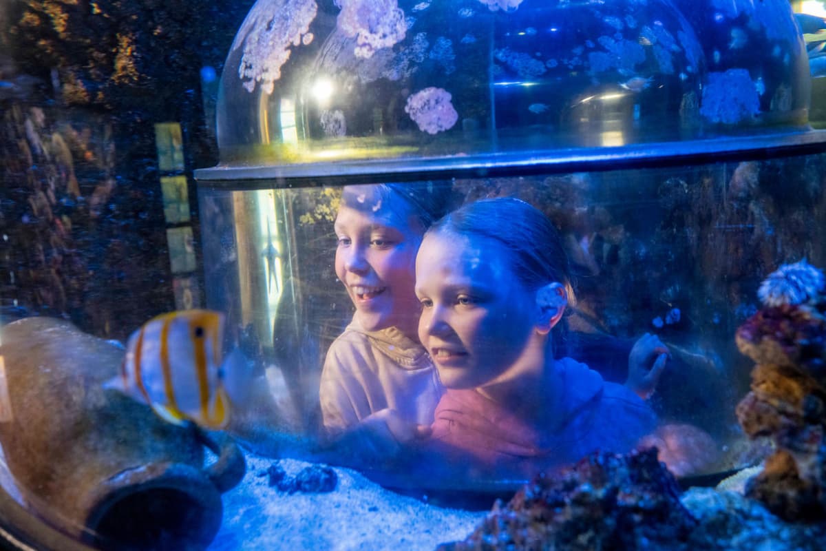 SEA LIFE Munich Aquarium Ticket