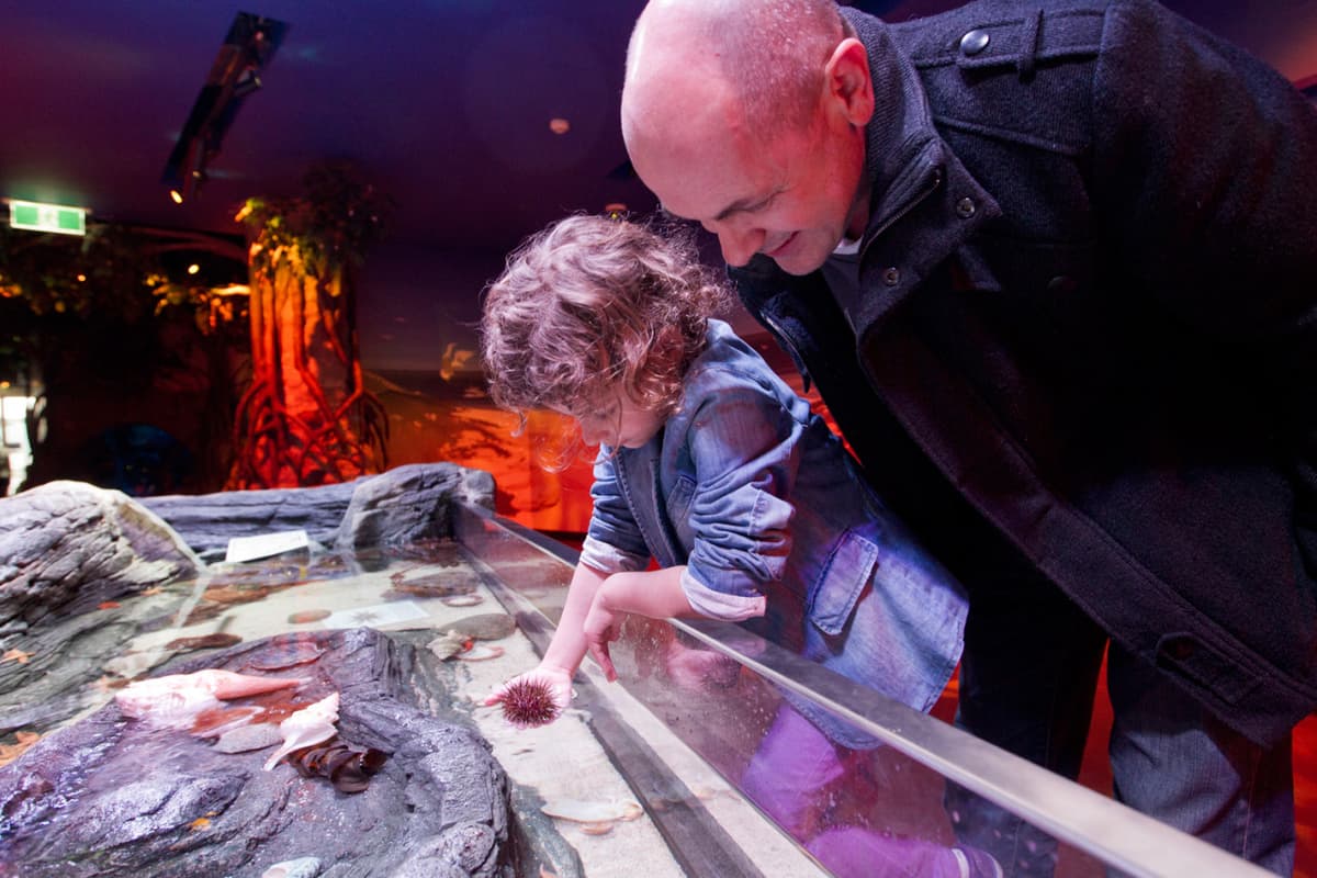 SEA LIFE Melbourne Aquarium Direct Entry Ticket