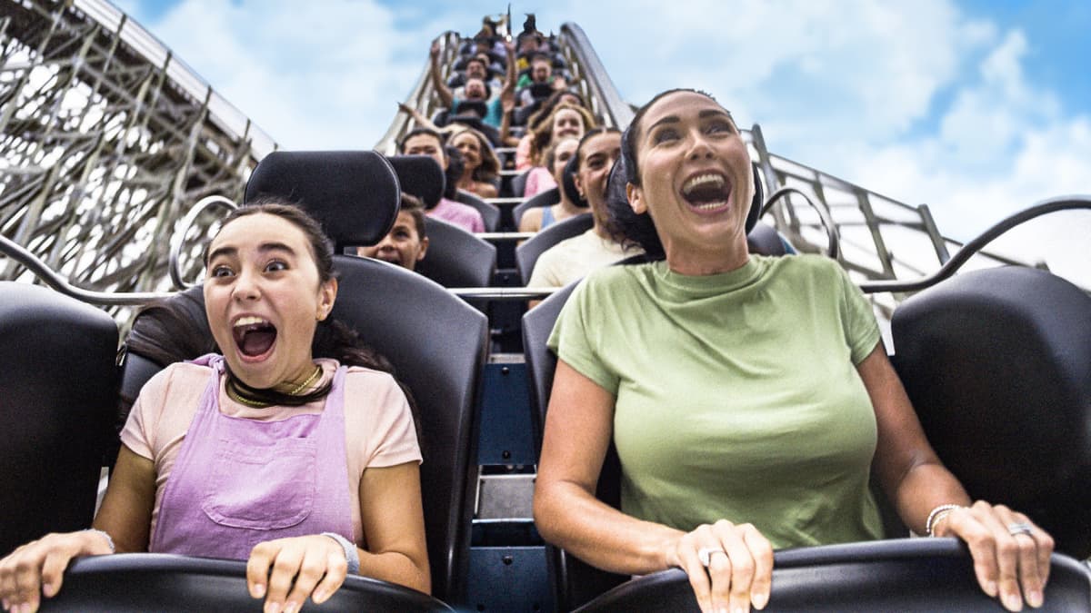 Sea World Gold Coast Ticket