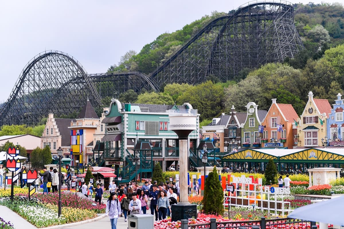 Everland Theme Park with Round Trip Transfers from Seoul