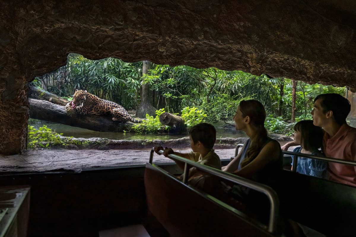 5-in-1 Day Pass: Night Safari + Singapore Zoo + Bird Paradise + River Wonders + Rainforest Asia