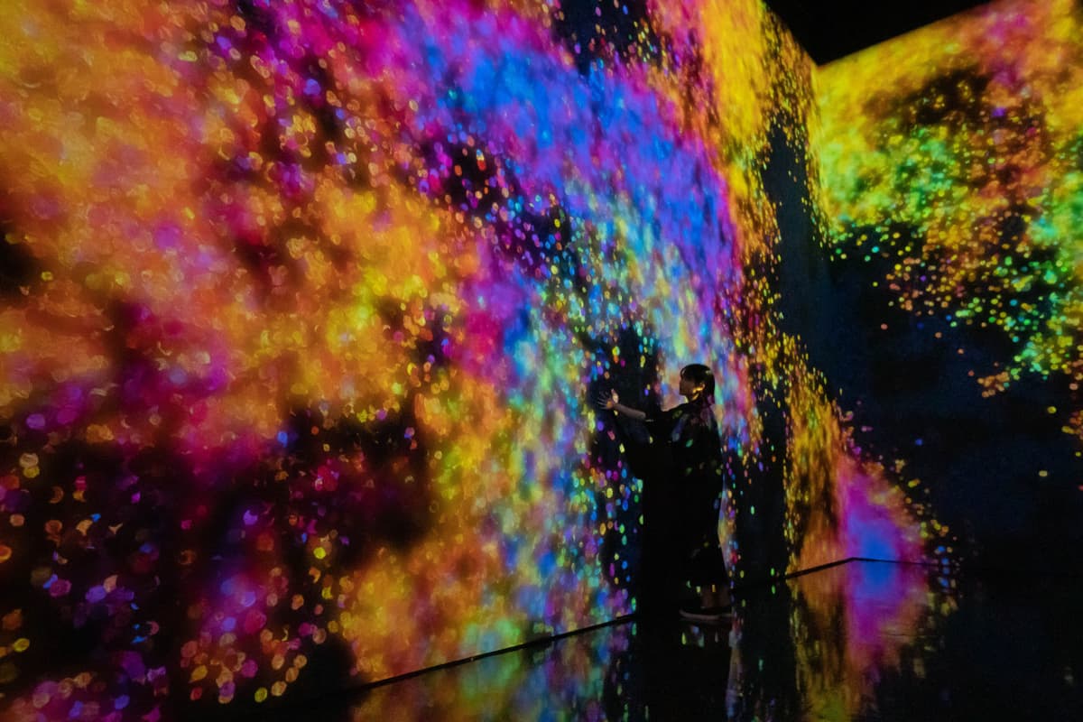 teamLab SuperNature Macao 3D Interactive Exhibition Ticket