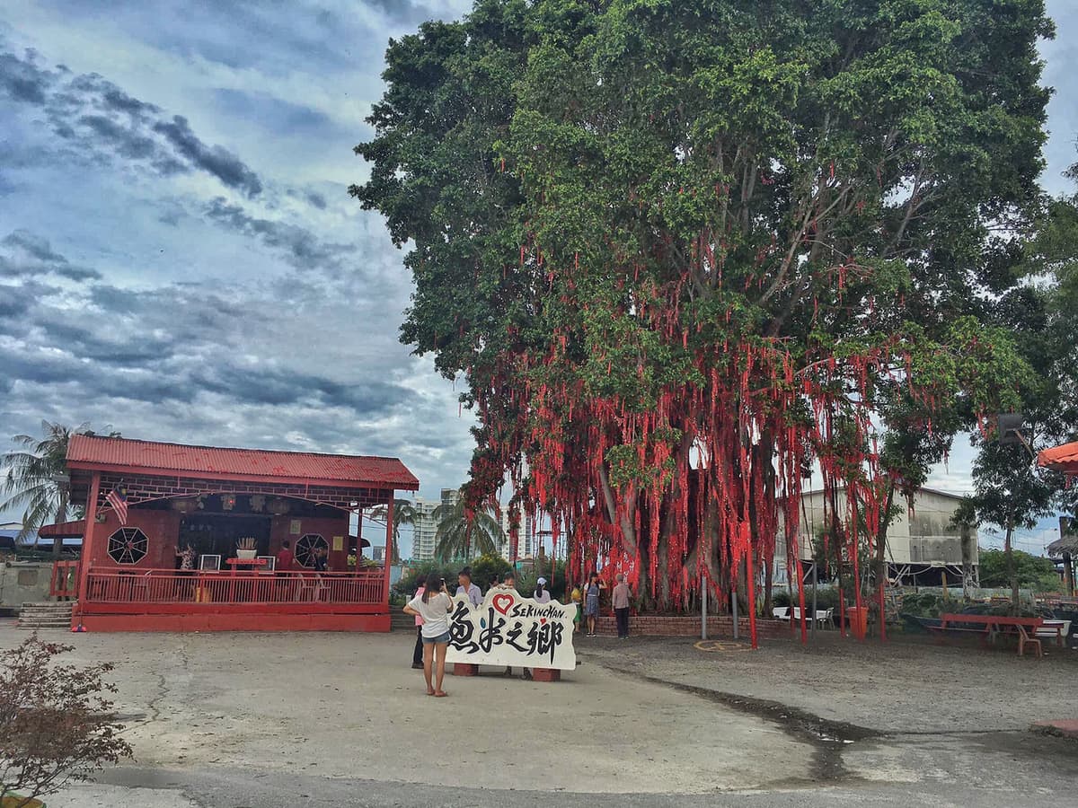 Sekinchan Paddy Fields and Fishing Village Tour from Kuala Lumpur