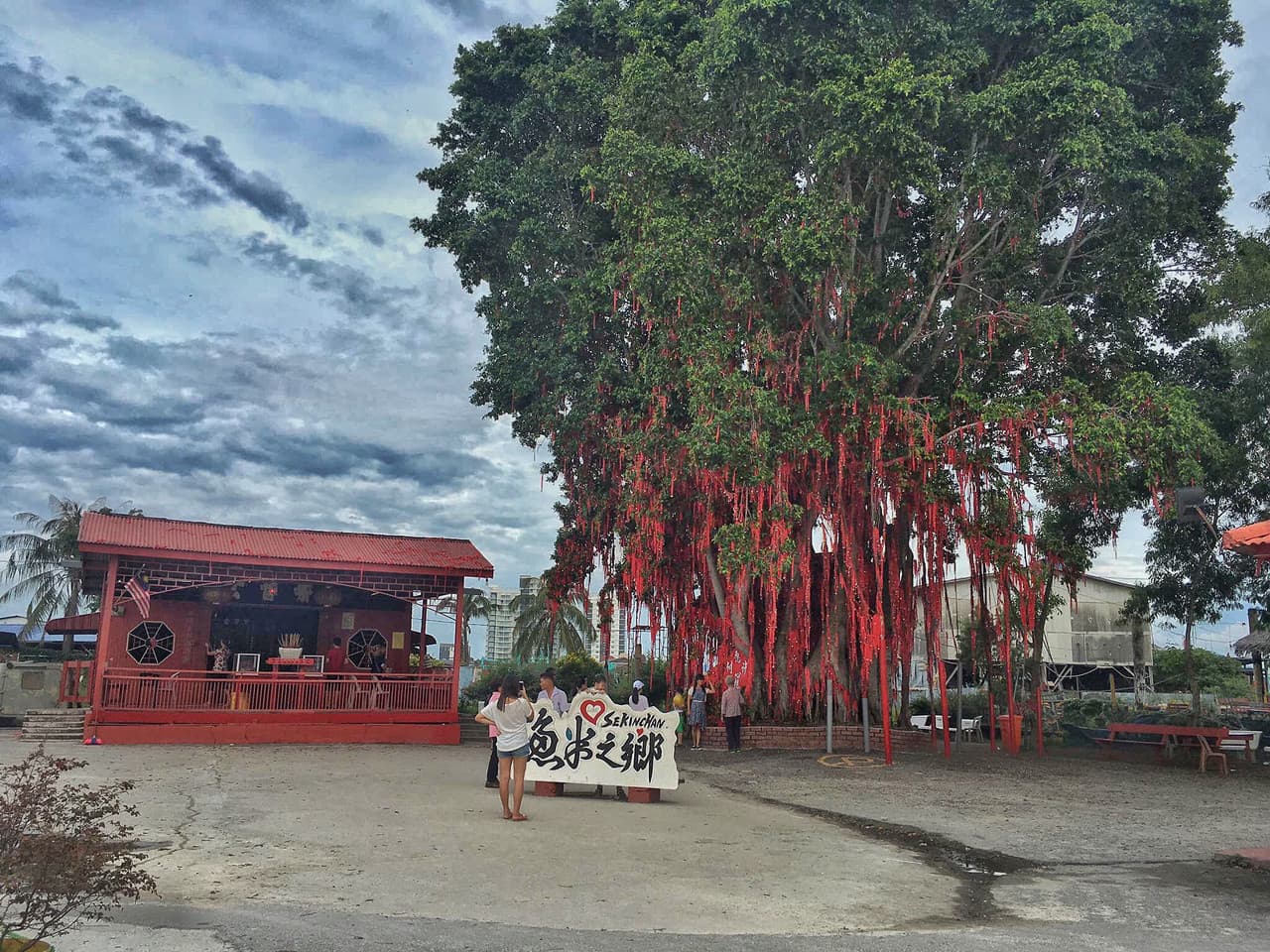 Sekinchan Paddy Fields and Fishing Village Tour from Kuala Lumpur