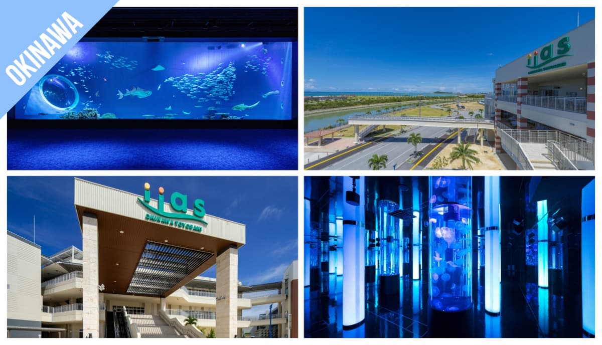Have Fun in Okinawa Pass - 1 Week Free Pass