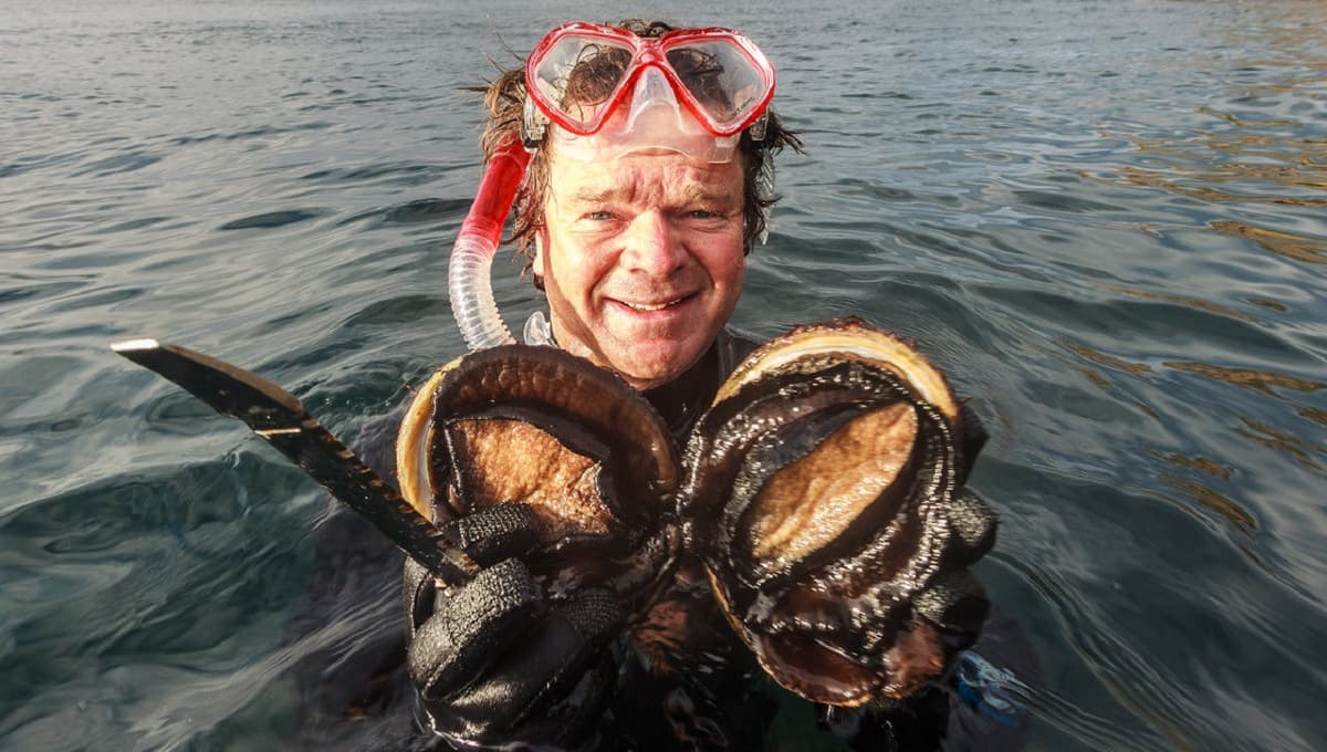 Bruny Island Seafood Lunch Cruise