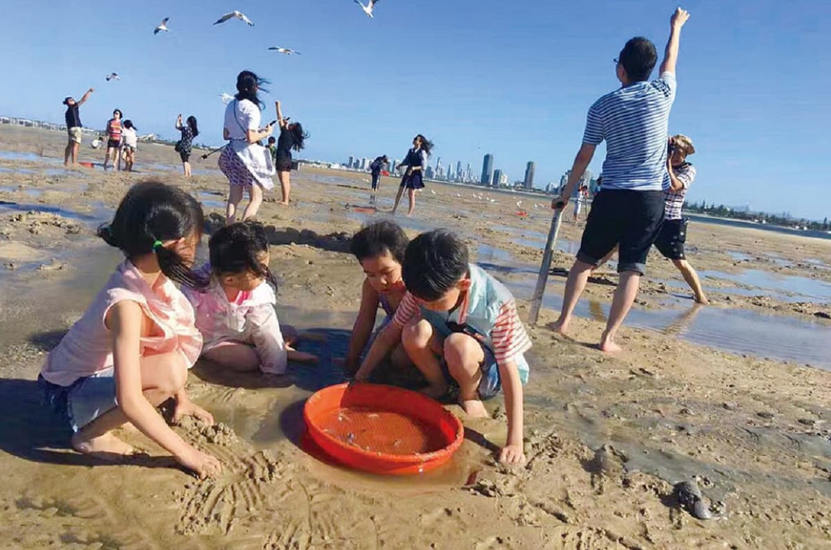 Gold Coast Tour with Crab Catching Lunch Cruise from Brisbane