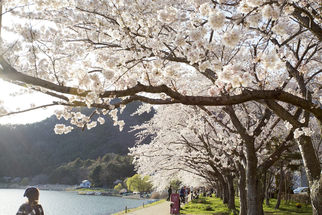 Mount Fuji Day Tour with Kawaguchiko Lake