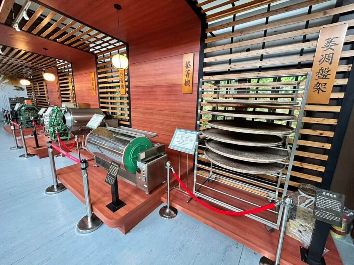 Pinglin Tea Culture and Maokong Full-Day Tour from Taipei