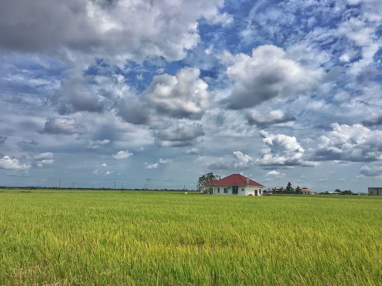 Sky Mirror and Sekinchan Paddy Field Tour from Kuala Lumpur