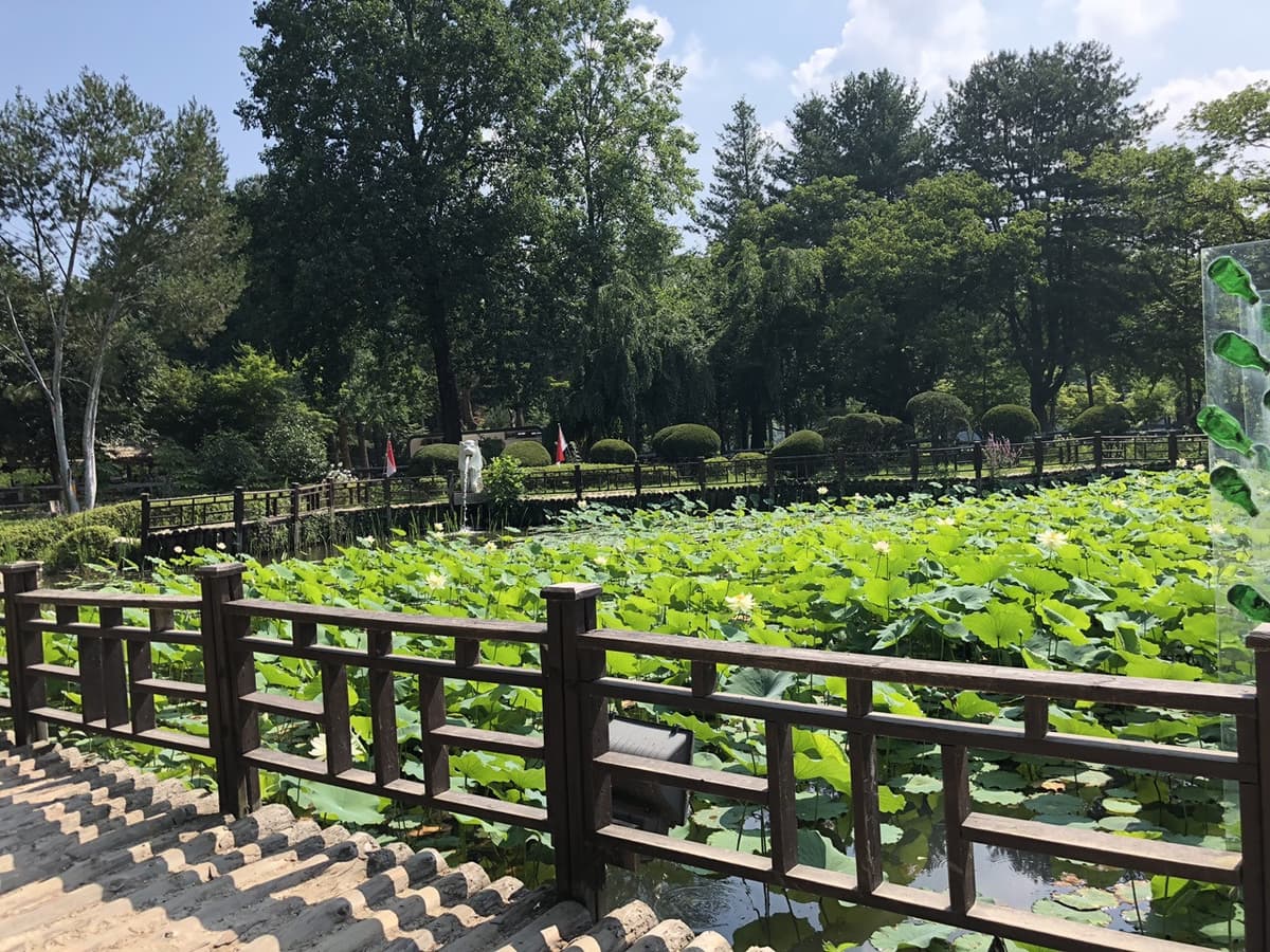 Nami Island and Mount Seorak Full-Day Tour from Seoul