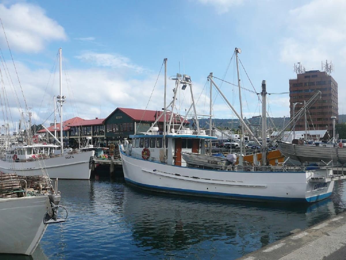 Hobart City Explorer Tour