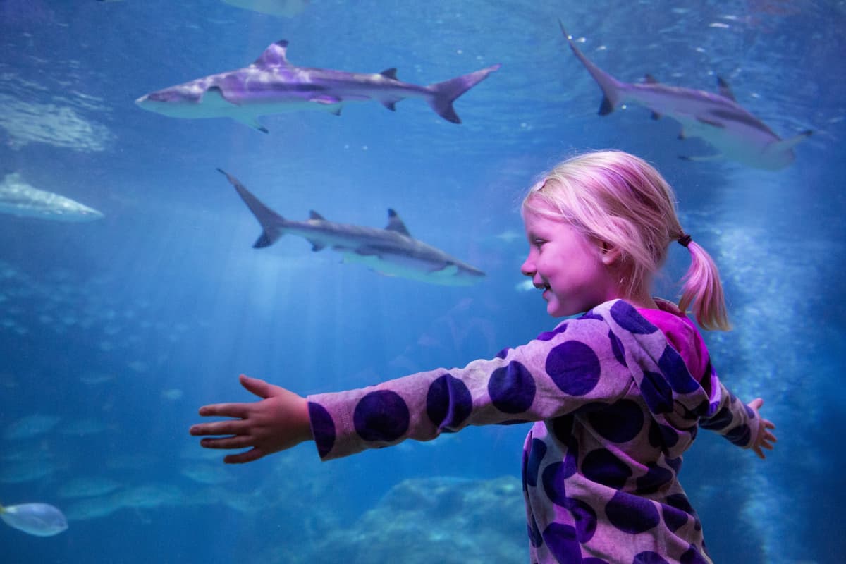 SEA LIFE Oberhausen Aquarium Ticket