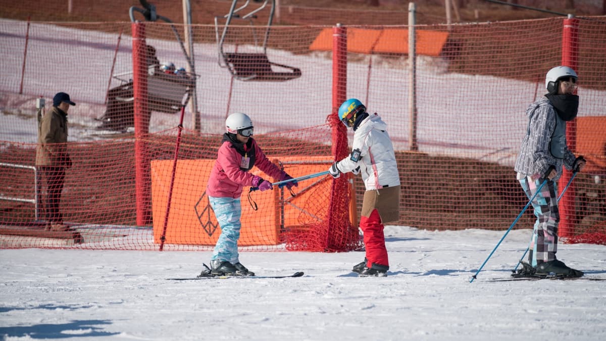 Jisan Forest Ski Resort Full-Day Tour from Seoul