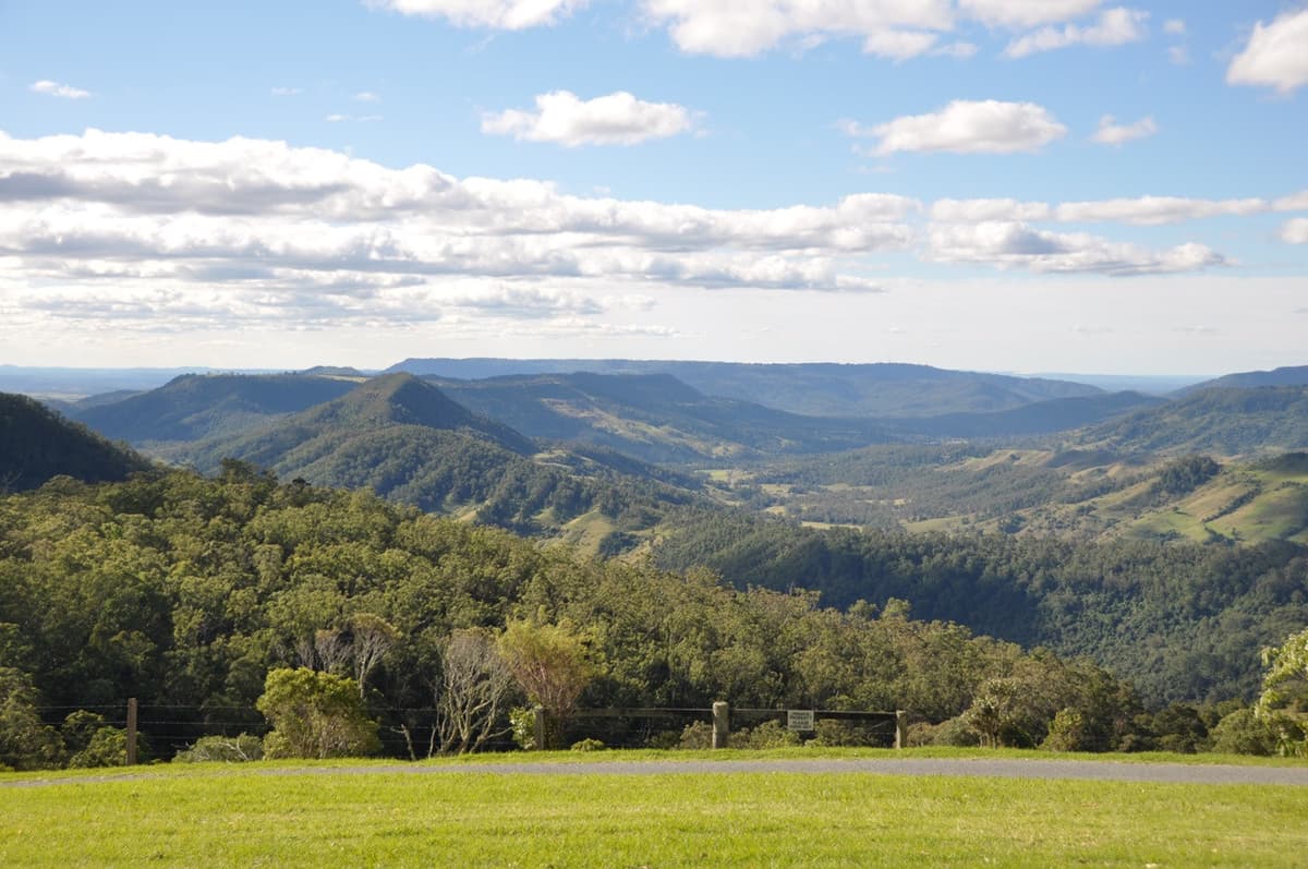 Lamington National Park Tour: O'Reilly's Rainforest Retreat and Canungra Valley Vineyard