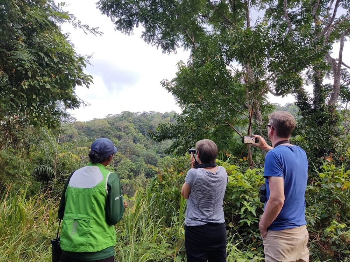 Langkawi Birdwatching Experience with Round Trip Transfer
