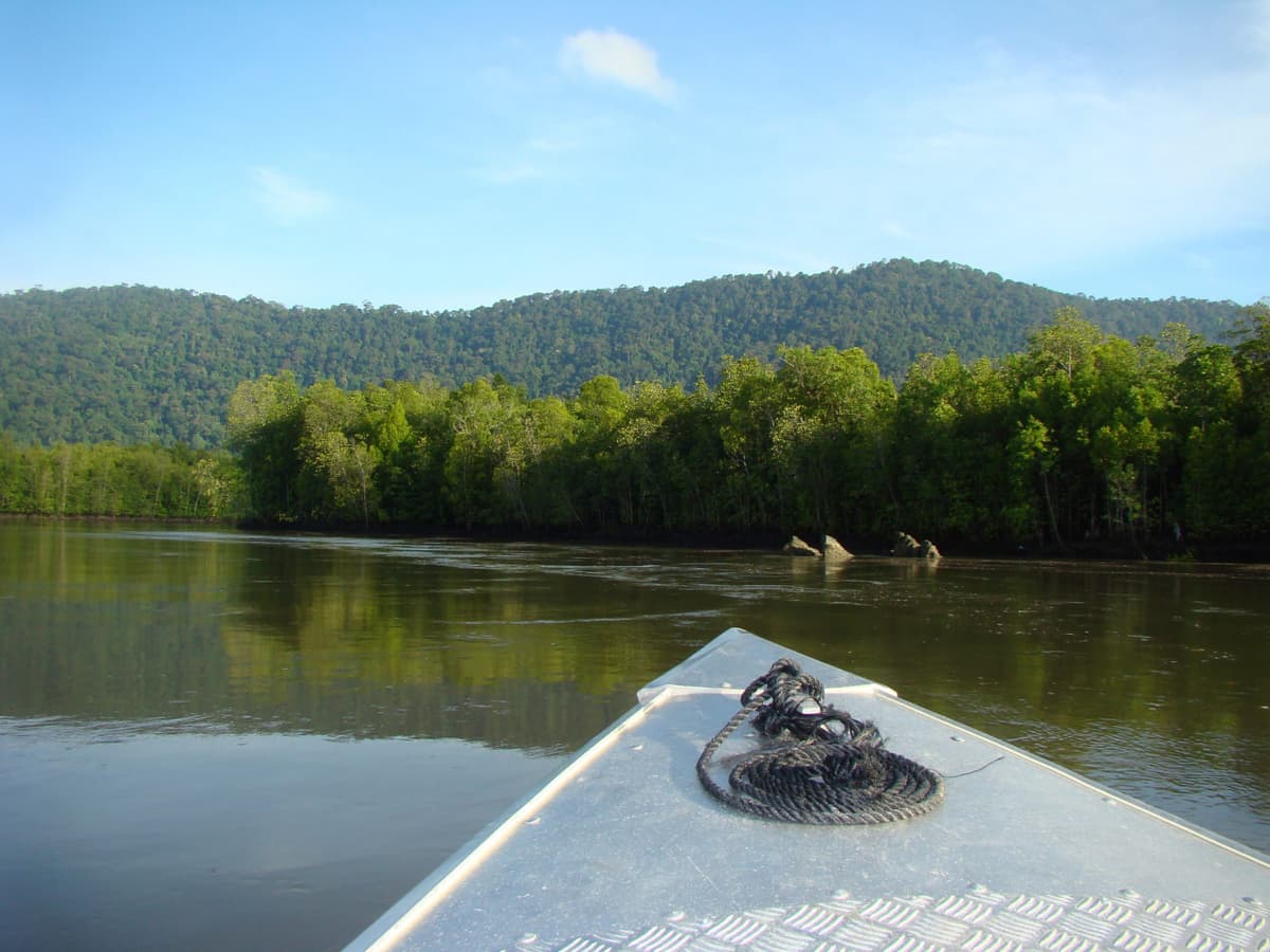 Langkawi Mangrove Cruise and Snorkeling