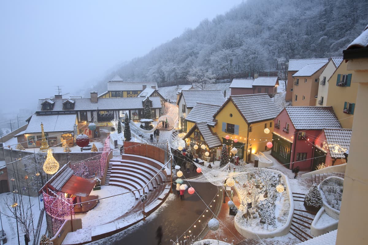 Nami Island, Petite France, Garden of Morning Calm, and Gangchon Rail Bike Tour from Seoul