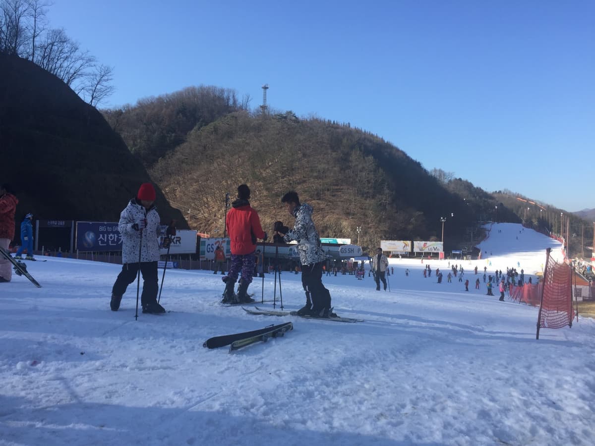 Elysian Gangchon Ski Resort and Nami Island Full-Day Tour from Seoul