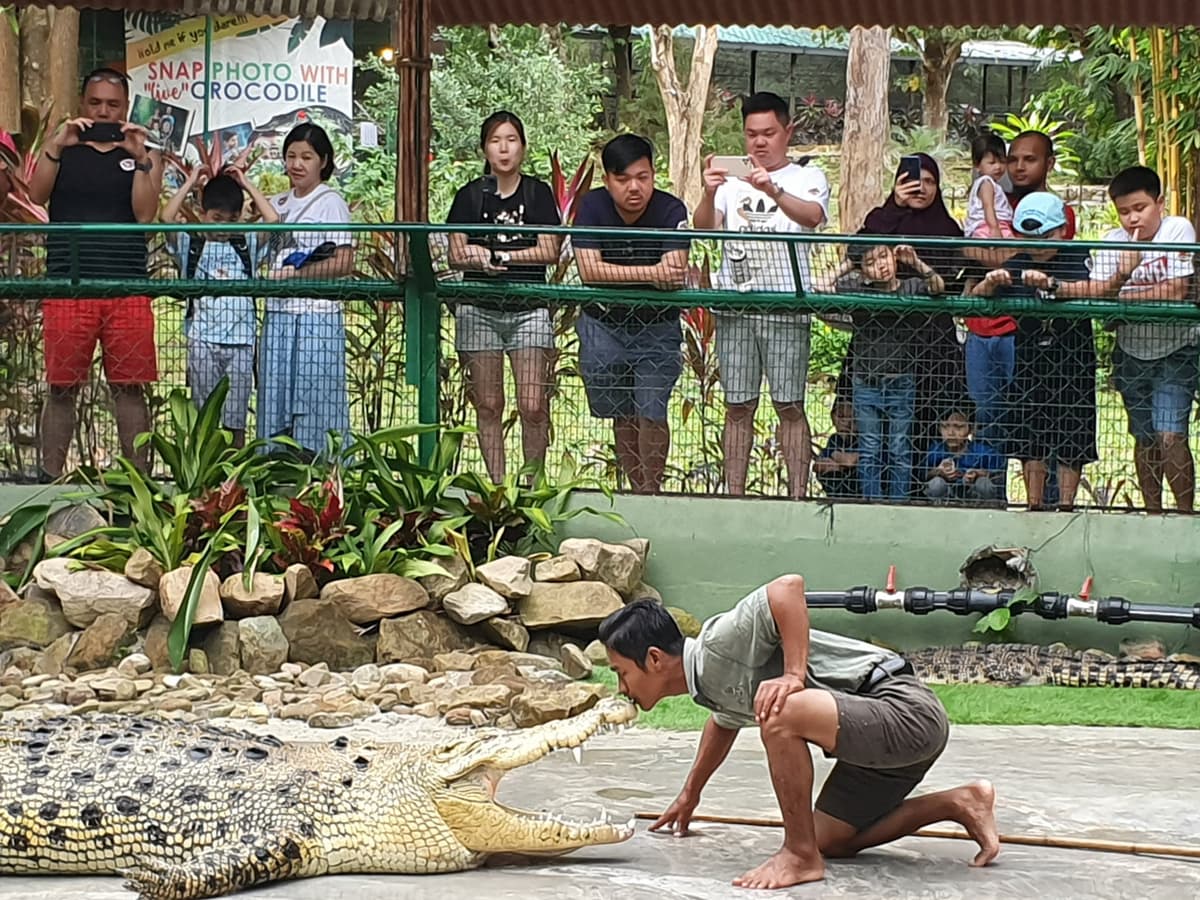 Crocodile Adventureland Langkawi