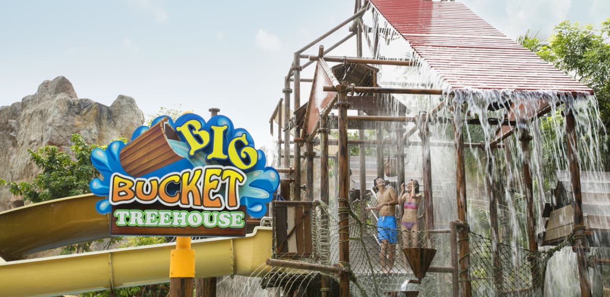 Adventure Cove Waterpark Ticket