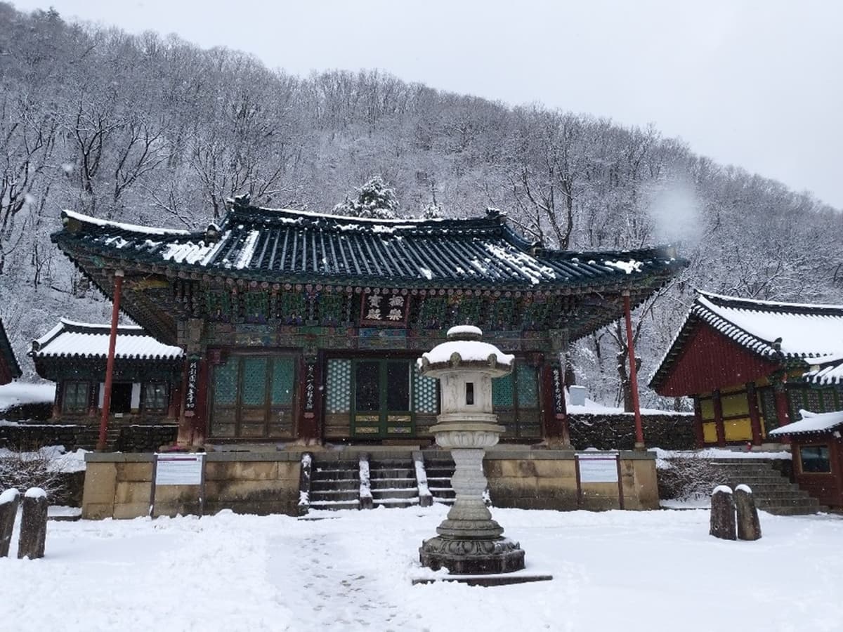 Nami Island and Mount Seorak Full-Day Tour from Seoul